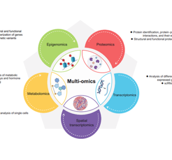 Opportunities and Challenges in Advancing Plant Research with Single-cell Omics