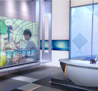 “全球首个涵盖葡萄属三大地理种群的单倍型超级泛基因组图谱发布”研究团队采访（来源：齐鲁网）