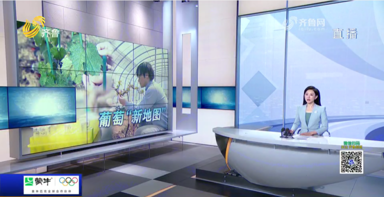 Read more about the article “全球首个涵盖葡萄属三大地理种群的单倍型超级泛基因组图谱发布”研究团队采访（来源：齐鲁网）