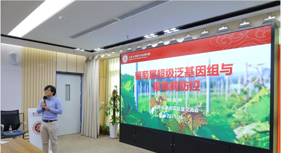 You are currently viewing 叶文秀研究员在2025年山东省作物精准分子设计育种重点实验室学术研讨会上作“葡萄属超级泛基因组与霜霉病防控”报告