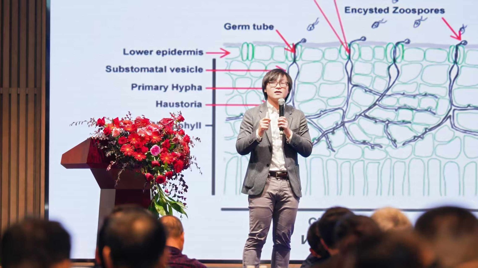 You are currently viewing 2025年11月2日，叶文秀参加由中国科学技术大学-精准智能化学全国重点实验室主办、安徽原植生物科技有限公司承办的“2025原植生物原子级杀菌技术高峰论坛”，并做题为“葡萄霜霉病的发生规律及新防控思路”的报告