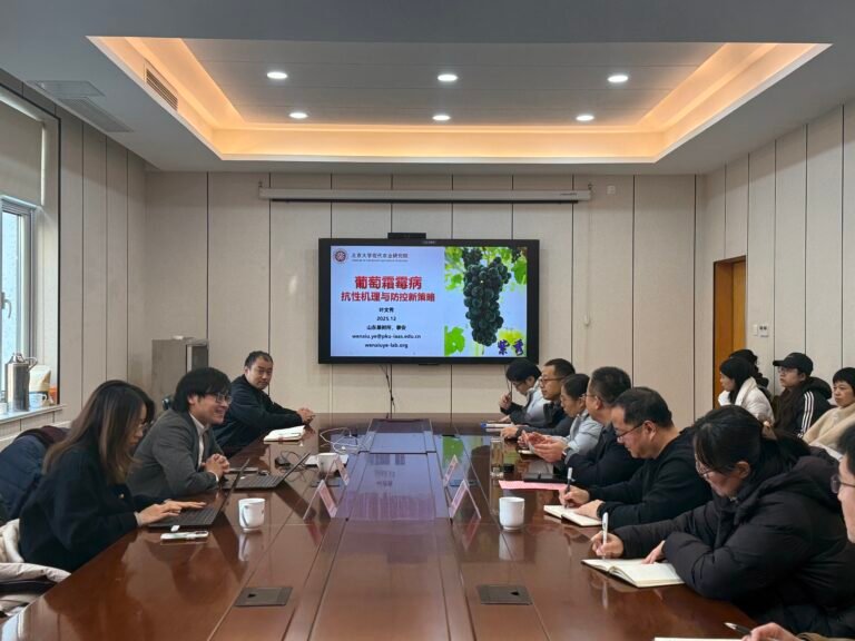 Read more about the article 2025年12月15日，叶文秀应邀参加“山东果树所 舜耕论坛学术报告会”，并做题为“葡萄霜霉病抗性机理与防控新策略”的报告