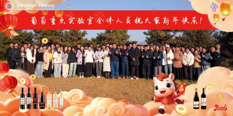 Read more about the article 葡萄重点实验室全体人员祝大家新年快乐！