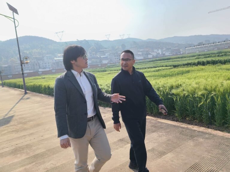 Read more about the article 叶文秀团队赴楚雄州农科院考察调研