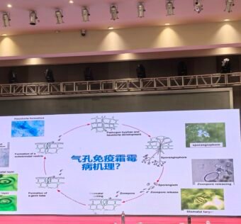 叶文秀参加第十一届全国浆果学术研讨会，并作题为“葡萄叶际菌群与霜霉病生物防治新策略”的大会报告
