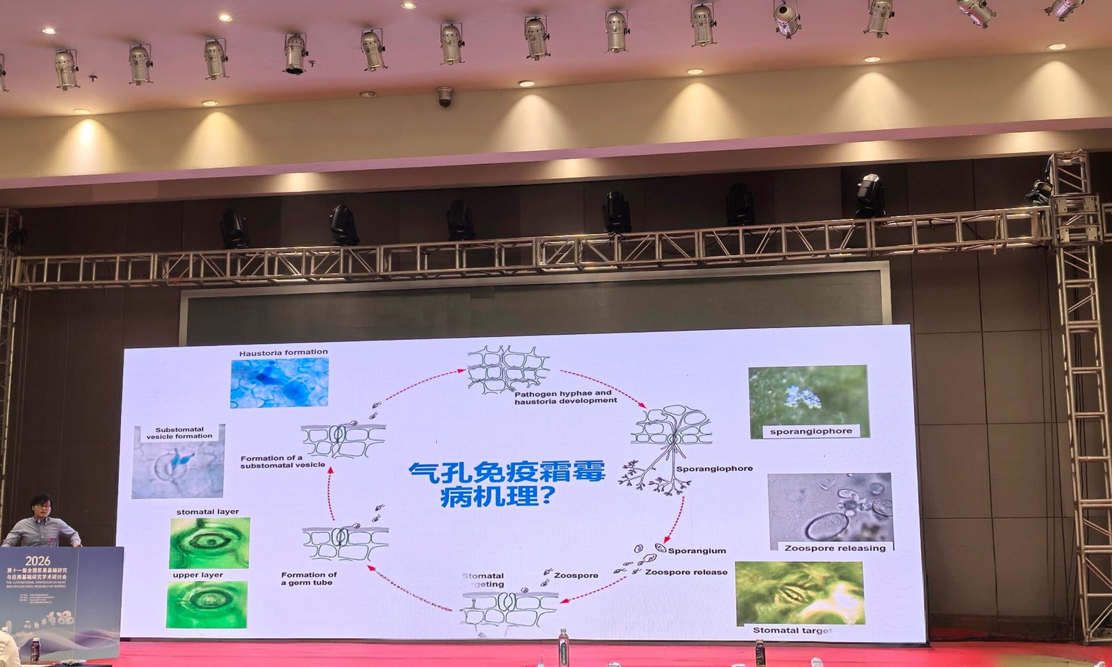 You are currently viewing 叶文秀参加第十一届全国浆果学术研讨会，并作题为“葡萄叶际菌群与霜霉病生物防治新策略”的大会报告