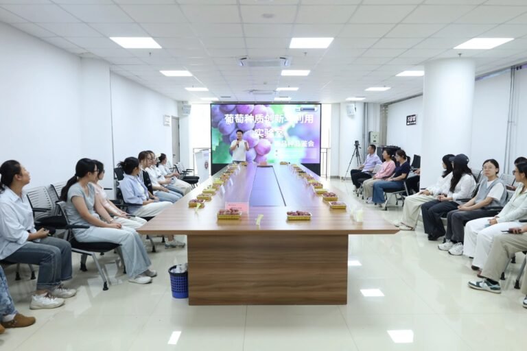 Read more about the article 北京大学现代农业研究院葡萄种质创新与利用实验室举办葡萄新品种新品系品鉴会