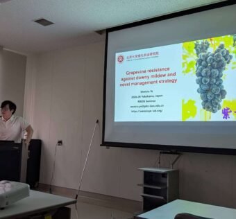 2026年8月28日，叶文秀到日本理化学研究所交流，并作题为“Grapevine resistance against downy mildew and novel management strategy”的报告