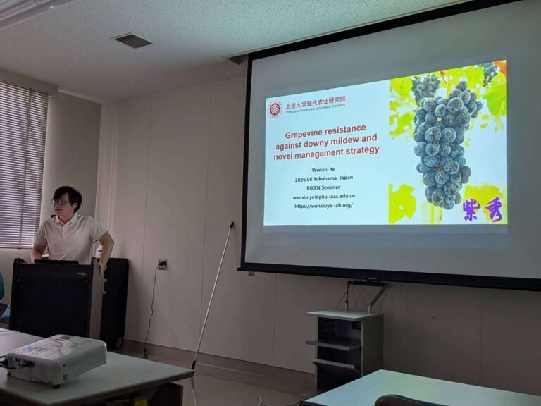 Read more about the article 2026年8月28日，叶文秀到日本理化学研究所交流，并作题为“Grapevine resistance against downy mildew and novel management strategy”的报告