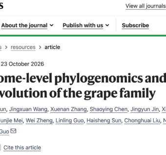 Nature Plants｜叶文秀团队和郭立团队联合日本学者重建葡萄科基因组7000万年演化史，发现转座子驱动的NLR基因扩张机制和抗霜霉病新基因
