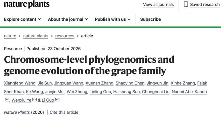 Read more about the article Nature Plants｜叶文秀团队和郭立团队联合日本学者重建葡萄科基因组7000万年演化史，发现转座子驱动的NLR基因扩张机制和抗霜霉病新基因