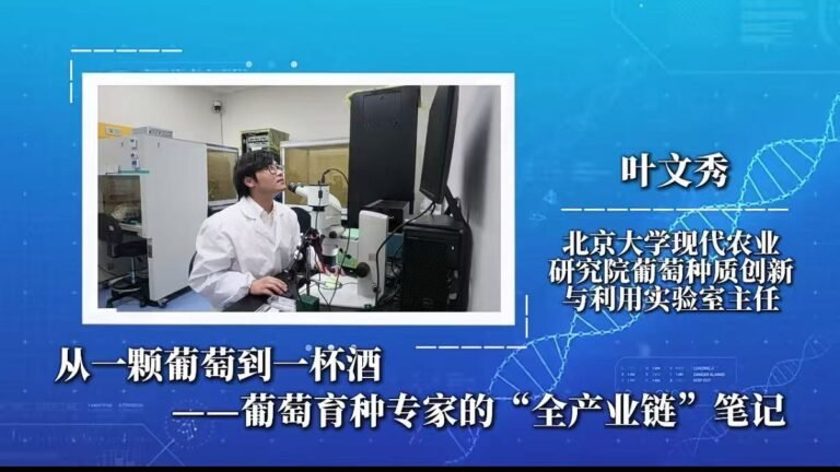 Read more about the article 叶文秀参加《科学家有话说》专访：从一颗葡萄到一杯酒——葡萄育种专家的”全产业链”笔记